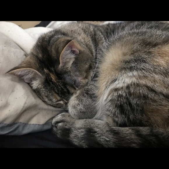 Meet your Posher, Des - Picture 1 of 1